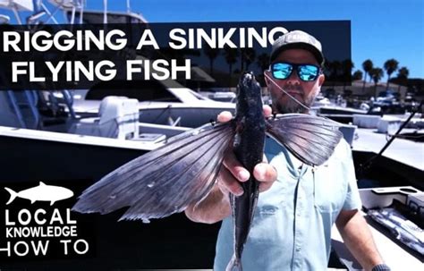 flying fish|Kite Fishing 101: Making a Flyer Harness and Rigging For .